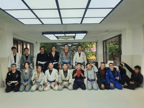 Hình ảnh hoạt động