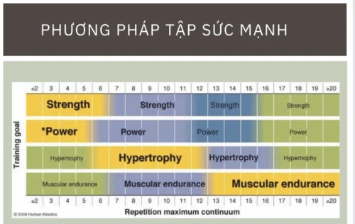 Hình ảnh hoạt động