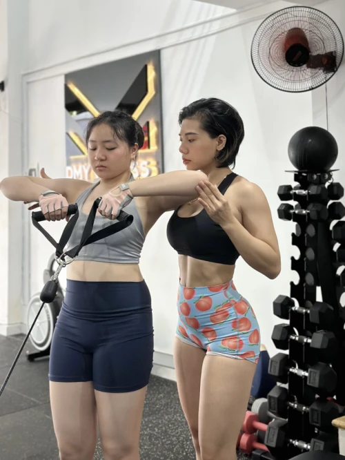 Hình ảnh hoạt động